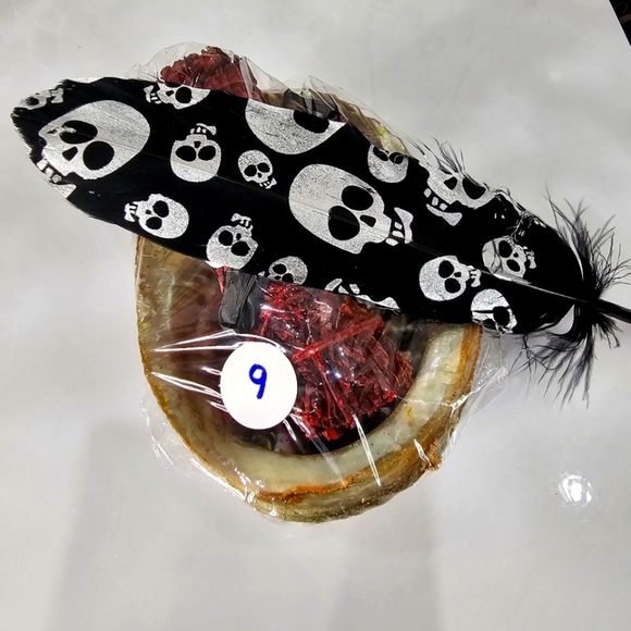 Dragon’s Blood Sage ✦ Tiger Shell ✦ Skull Feather ✦ Cleansing Smudge Set NWT - Picture 8 of 12